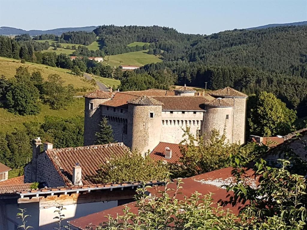 Chateau Des Marcilly Talaru Chalmazel-Jeansagniere Eksteriør bilde